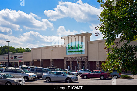 Publix drogheria a Taylors, Carolina del Sud Foto Stock