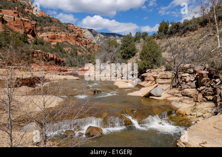 Alberi di pino e di rocce in Slide Rock State Park nel Canyon di Oak Creek, vicino a Sedona, in Arizona, Stati Uniti. Foto Stock