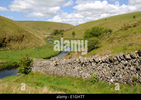 Il vecchio muro di pietra sul fiume Barle valle walk Simonsbath Parco Nazionale di Exmoor Devon England Regno Unito GB Foto Stock