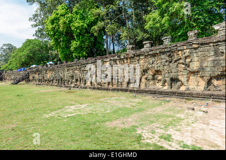 Tempio Bayon, Terrazza degli elefanti Foto Stock