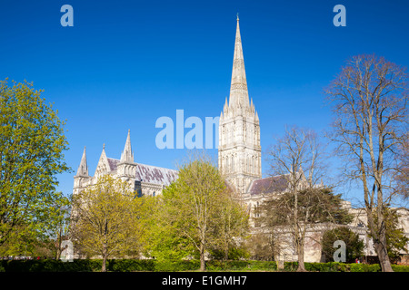 Inizio inglese in stile gotico della Cattedrale di Salisbury con la guglia talest nel paese. Wiltshire, Inghilterra UK Europa Foto Stock