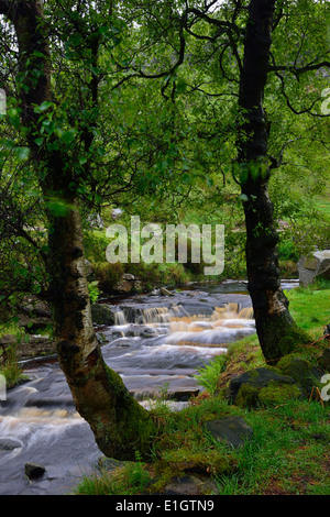 Il Bronte cascata vicino Haworth West Yorkshire England Regno Unito Foto Stock