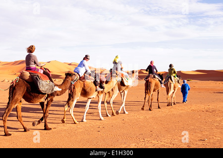 Camel caravan andando attraverso le dune di sabbia nel deserto del Sahara, Marocco Foto Stock