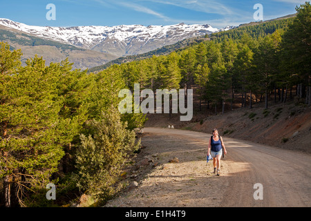 Donna camminando nelle montagne della Sierra Nevada in alta Alpujarras, vicino a Capileira, provincia di Granada, Spagna. Foto Stock