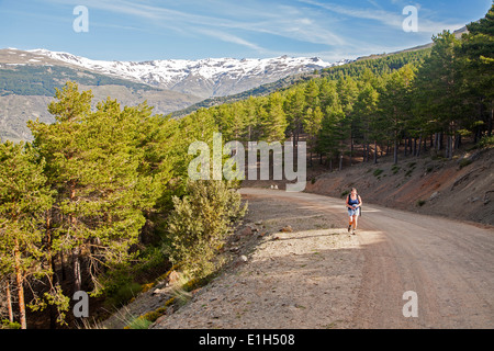 Donna camminando nelle montagne della Sierra Nevada in alta Alpujarras, vicino a Capileira, provincia di Granada, Spagna. Foto Stock