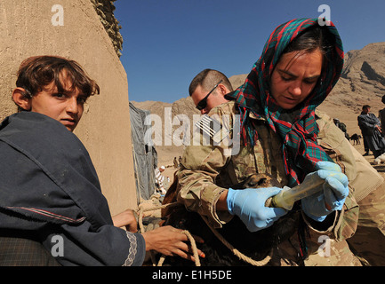 Una coalizione di forze per le operazioni speciali veterinario fornisce i farmaci a un asino durante un villaggio veterinario programma outreach, ho Foto Stock