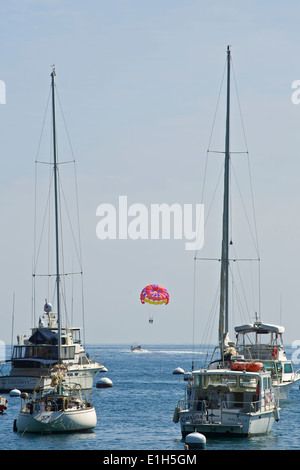 Il parasailing in Avalon, Isola Catalina, California. Foto Stock