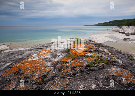 Interessanti formazioni rocciose, acque turchesi con il lichen coperto rock. Bruce Peninsula National Park, Ontario, Canada. Foto Stock