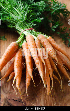 Mazzo di carote fresche con gambi verdi Foto Stock