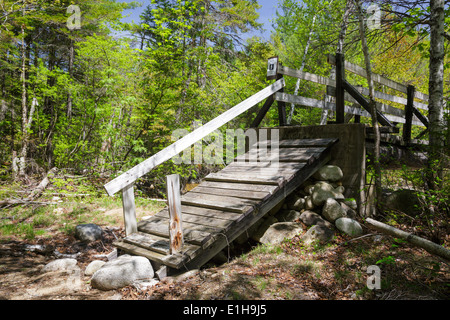 North Fork junction passerella che attraversa il ramo orientale del fiume Pemigewasset lungo la Thoreau Falls Trail nel deserto Pemigewasset. Foto Stock