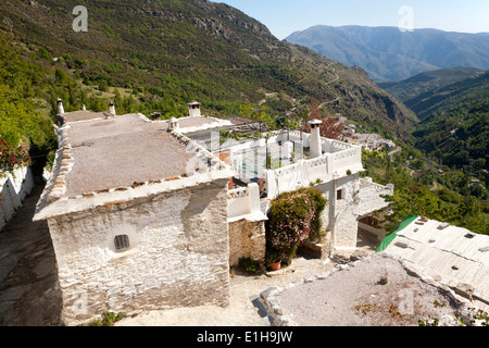 Case nel villaggio di Bubion, alta alpujarras Sierra Nevada, Spagna con tetti piatti unici e comignoli Foto Stock