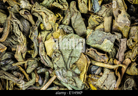 Essiccato di foglie di tè verde vicino sfondo. Foto Stock