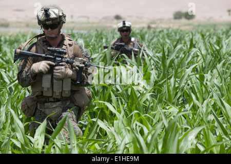 Stati Uniti Navy Hospitalman Derek Happel, fissata al 3° plotone, Alfa Company, 1° Battaglione, 7° Reggimento Marine, Regimental pettine Foto Stock