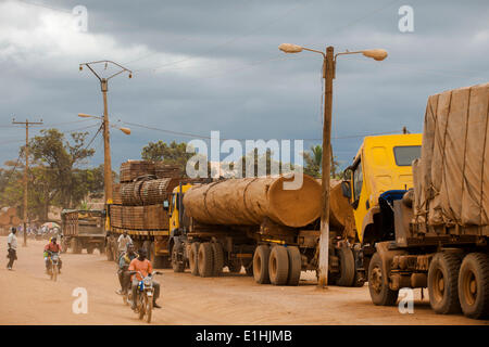I carrelli caricati con legni tropicali provenienti da Repubblica Democratica del Congo sulla strada principale, Yokadouma, Regione Est, Camerun Foto Stock