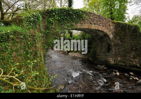 Horner Packhorse bridge over Horner acqua, Exmoor Foto Stock