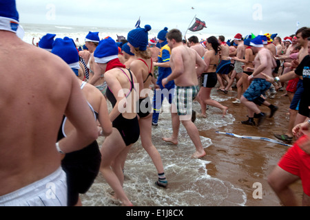 La folla in cappelli blu acceso in mare per Polar Bear Club Capodanno immergersi, Ostenda, Belgio Foto Stock