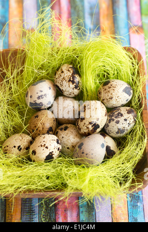 Ciotola di legno con erba di Pasqua e uova di quaglia su strisce colorate Foto Stock