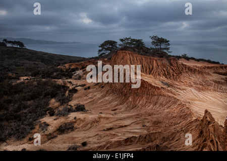 Broken Hill Torrey Pines State Reserve, California Foto Stock