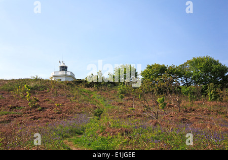 Una vista di un sentiero da est scogliere salendo al faro a Cromer, Norfolk, Inghilterra, Regno Unito. Foto Stock