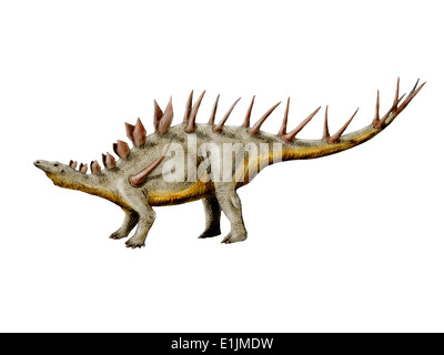 Dinosauro Kentrosaurus, sfondo bianco. Foto Stock