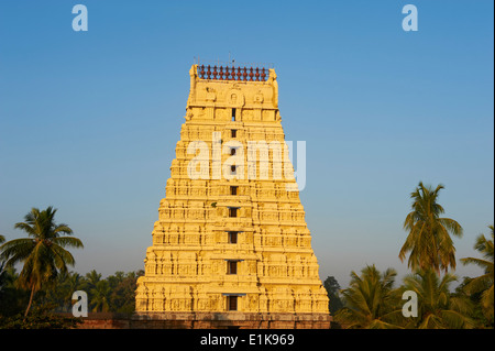 India, nello Stato del Tamil Nadu, Kanchipuram, Devarajaswami tempio Foto Stock