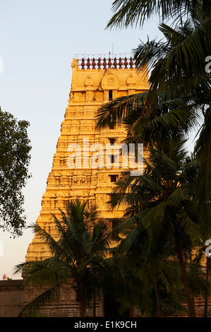 India, nello Stato del Tamil Nadu, Kanchipuram, Devarajaswami tempio Foto Stock