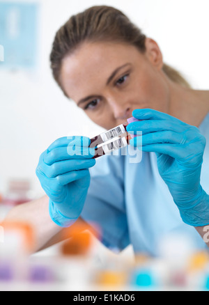 Donna scienziato tenere i campioni di sangue in provette. Foto Stock