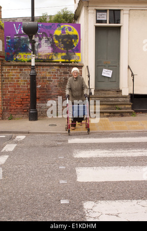 Il UKIP Cartellone elettorale soggetto ad atti vandalici da graffiti in Framlingham, Suffolk,con segni sulle case adiacenti " lettura non il nostro segno". Foto Stock
