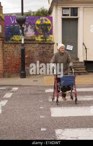 Il UKIP Cartellone elettorale soggetto ad atti vandalici da graffiti in Framlingham, Suffolk,con segni sulle case adiacenti " lettura non il nostro segno". Foto Stock