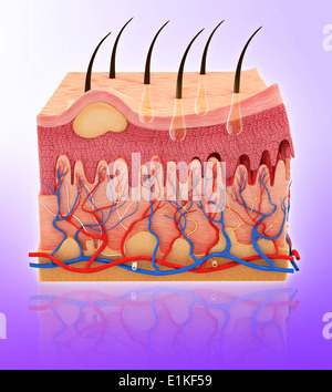 La pelle umana computer grafica. Foto Stock