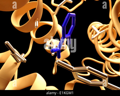 L'aspirina in azione Computer illustrazione che mostra come aspirina ha il suo effetto Aspirina (acido acetilsalicilico) viene convertito in acido salicilico Foto Stock