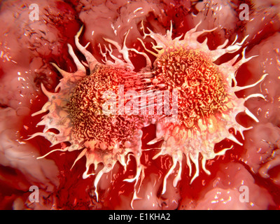 Illustrazione delle cellule di cancro dividendo. Foto Stock