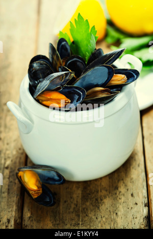 Cozze cotte con salsa di vino bianco in una pentola di bianco Foto Stock