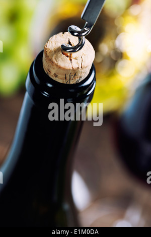 I vini e i mosti di uve su sfondo di legno Foto Stock