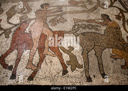 Navata centrale mosaico sul pavimento del duomo di Otranto : piloti Foto Stock