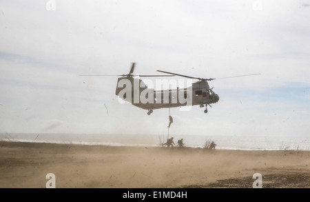 Stati Uniti Marines con il primo battaglione di ricognizione, 1° Divisione Marine e il Giappone terra Forza di Autodifesa (JGSDF) i soldati fa Foto Stock