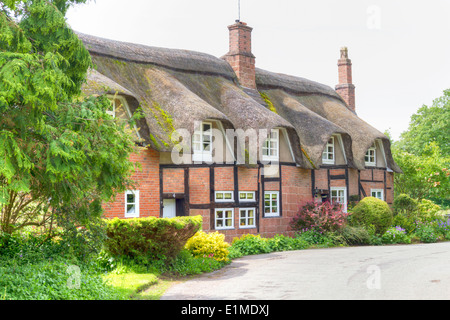 Una fila di terrazze coltivate a cottage con il tetto di paglia nel piccolo villaggio di Shropshire di Badger Foto Stock