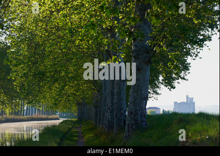 France, Languedoc-Roussillon, Herault depatment, Capestang, la chiesa Saint Etienne (collegialel) e il Canal du Midi Foto Stock