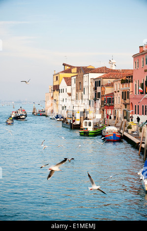 Barche da pesca sul 'Canale di Cannaregio" o canale di Cannaregio, nella zona residenziale di Cannaregio, Venezia, Italia Foto Stock