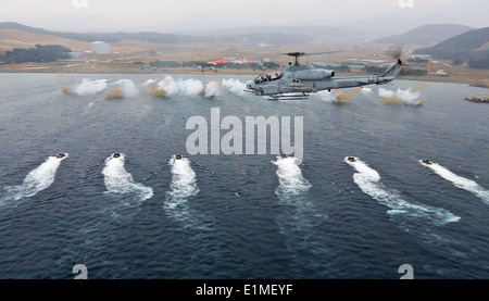 Corea del Sud marines con il 7° Reggimento partecipare ad una simulazione di assalto anfibio in Pohang, Corea del Sud, 29 marzo 2014, dur Foto Stock