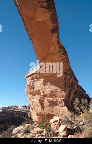 Stati Uniti d'America, Utah, ponti naturali monumento nazionale, Owachomo Bridge Foto Stock