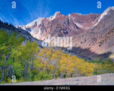 McGee Creek Canyon con fall aspens colorati. Inyo National Forest. California Foto Stock