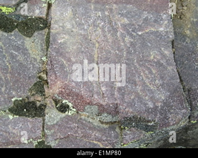 Questa immagine illustra i modelli di frattura in quarzite, una roccia metamorfica. Le caratteristiche geologiche della quarzite sono esaminate per le loro proprietà minerali e le loro caratteristiche strutturali. Foto Stock