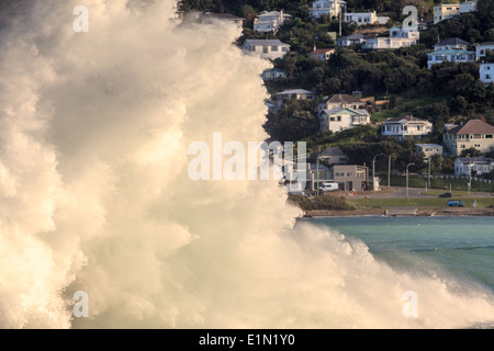 Gigantesche onde si infrangono sulla scogliera,Lyal bay,Wellington,l'isola nord,Nuova Zelanda Foto Stock