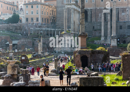 Roma, Italia. Tra le rovine del Foro Romano. Foto Stock