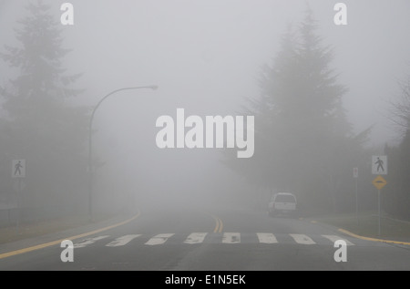 Fitta nebbia oscura un attraversamento pedonale in Delta, British Columbia, Canada Foto Stock