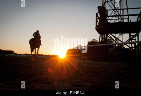 Elmont, New York, Stati Uniti d'America. Il 7 giugno, 2014. Un cavallo sulla principale via davanti a odierna 146in esecuzione del Belmont Stakes, Sabato, 7 giugno 2014. Credito: Bryan Smith/ZUMAPRESS.com/Alamy Live News Foto Stock