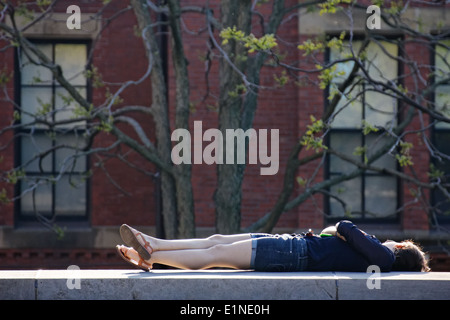 Studente dorme nella parte anteriore della libreria Widener su Harvard University campus in Cambridge, MA, Stati Uniti d'America nel maggio 2011. Foto Stock