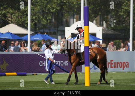 Il terzo arbitro al polo Chestertons nel parco 2014 Foto Stock