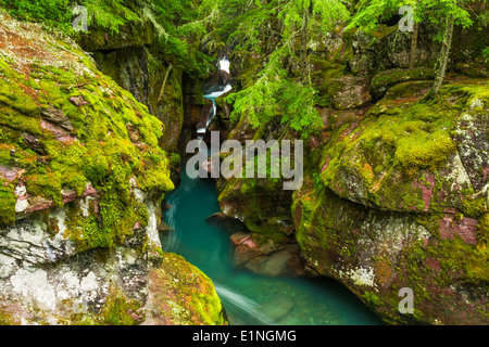 Avalanche Creek, il Glacier National Park Montana USA Foto Stock